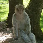 Maison 2 Chambres Avec Piscine Pres De Sarlat Et Rocamadour Ferienhaus