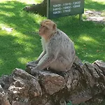 Ferienhaus Maison 2 Chambres Avec Piscine Pres De Sarlat Et Rocamadour *