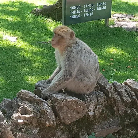 Feriehus Charming House Between Lot & Dordogne With Private Pool *