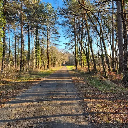 Σπίτι διακοπών Charming House Between Lot & Dordogne With Private Pool Payrac