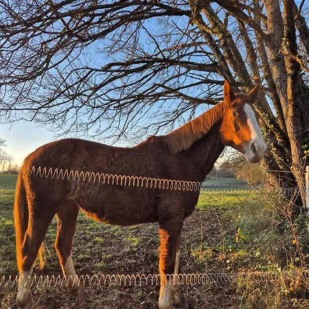 Maison 2 Chambres Avec Piscine Pres De Sarlat Et Rocamadour Payrac