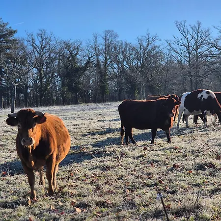 Σπίτι διακοπών Charming House Between Lot & Dordogne With Private Pool Payrac