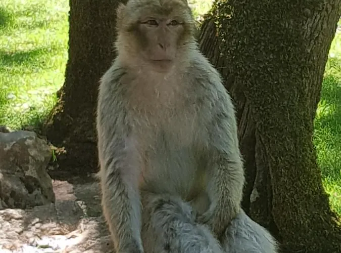 Maison 2 Chambres Avec Piscine Pres De Sarlat Et Rocamadour Feriehus