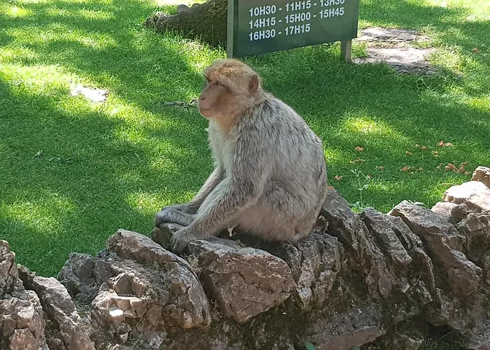 Semesterbostad Maison 2 Chambres Avec Piscine Pres De Sarlat Et Rocamadour *