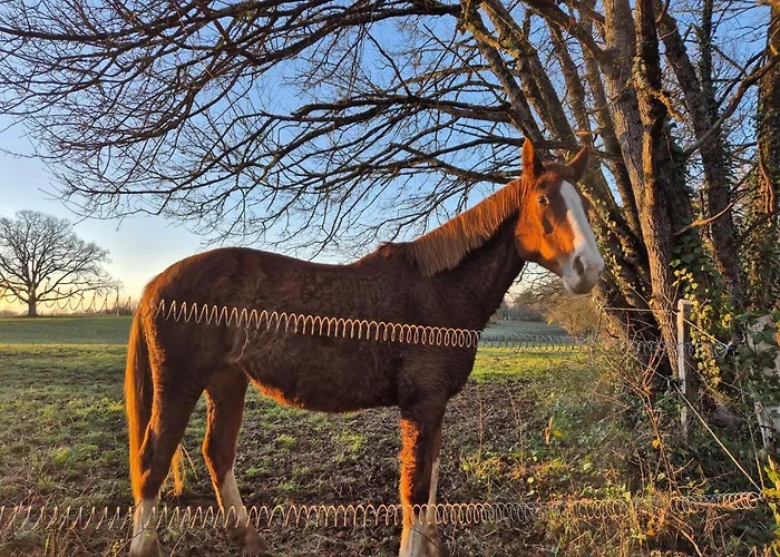Charming House Between Lot & Dordogne With Private Pool Payrac