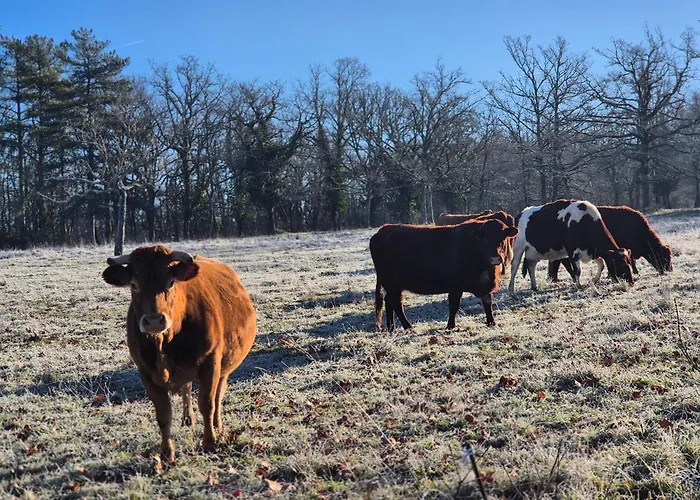 בית נופש Charming House Between Lot & Dordogne With Private Pool Payrac