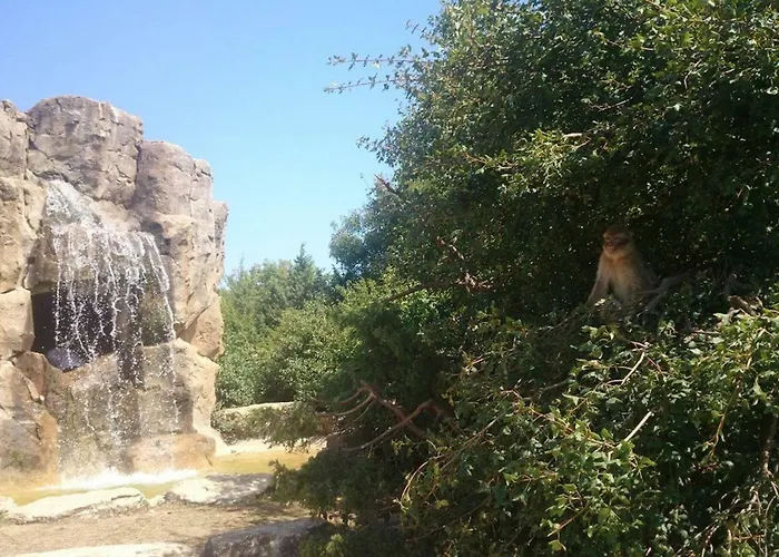 Maison 2 Chambres Avec Piscine Pres De Sarlat Et Rocamadour * Payrac